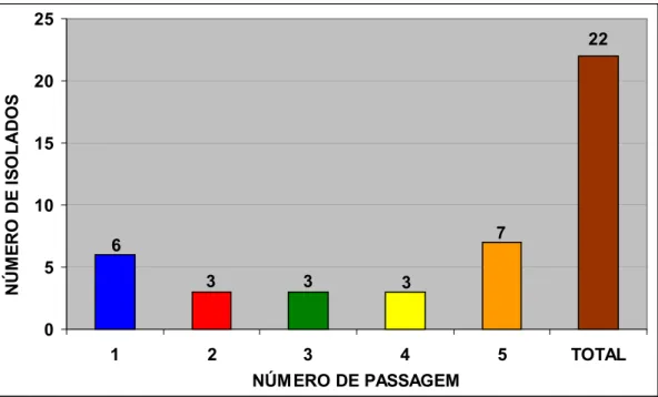 Figura 7 - Isolamento do VLTI em ovos embrionados de galinha SPF  depois da inoculação pela MCA