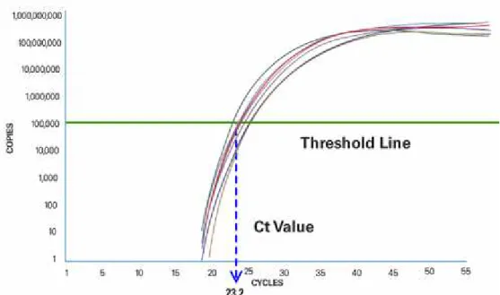 Figura 10 - O ciclo de PCR no qual a amostra alcança intensidade de fluorescência acima do  background é o Ciclo Threshold ou Ct (Fonte: APPLIED BIOSYSTEMS, 2012) 