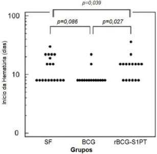 Gráfico 2 –    Aparecimento de hematúria macroscópica nos animais com tumor  tratados com SF, BCG ou rBCG-S1PT 