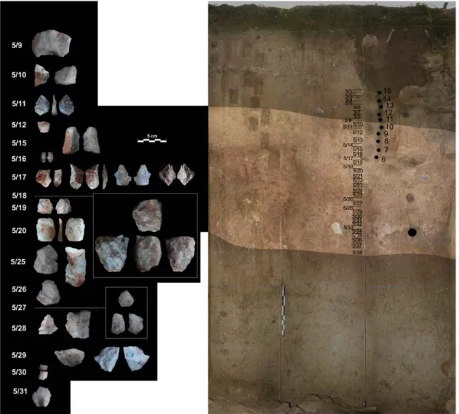 Fig. 8: Vestígios líticos da unidade estratigráfica 5, unidade artificial 10/37 da sondagem H’I’17/19