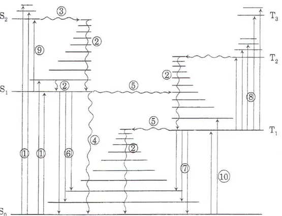 Figura 1.11: Diagrama de Jablonski [Carroll, 1998] 