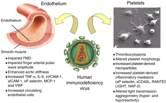 Figure 1 Schematic representation of the possible interactions between human immunodeficiency virus and the endothelium and platelets