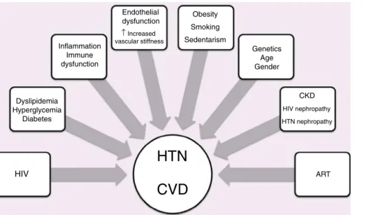 Figure 2 Factors associated with hypertension, human immunodeficiency virus and cardiovascular disease.