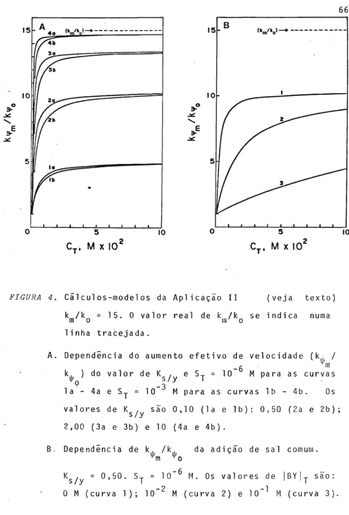 FIGURA 4. Cálculos-modelos da Aplicação 11