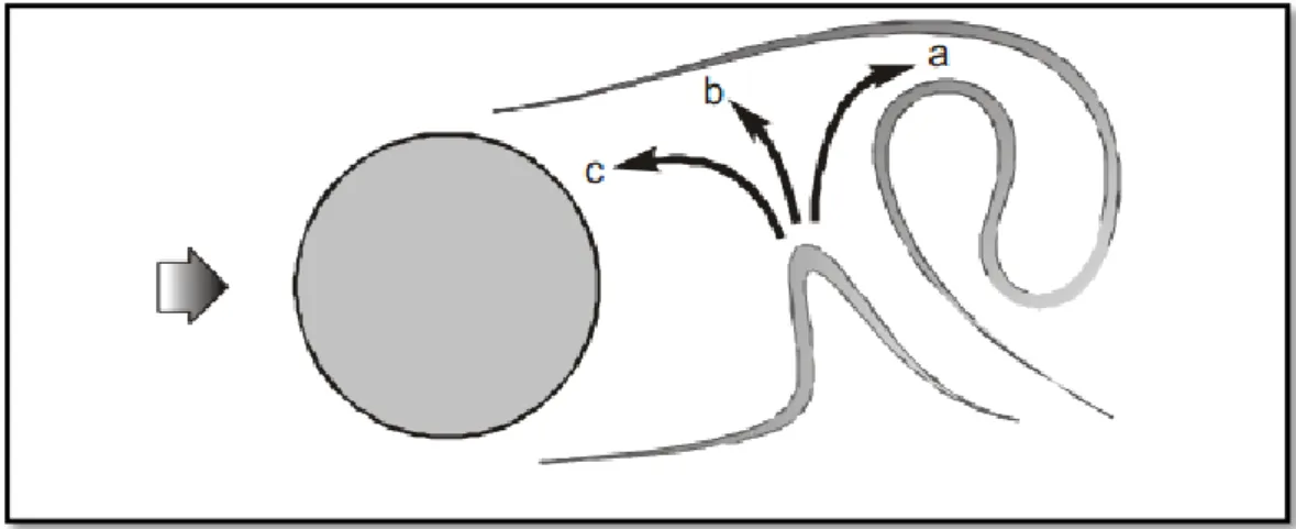 Figura 2.18 – Linhas de emissão instantâneas em torno de um cilindro, extraído de Carvalho  (2003)