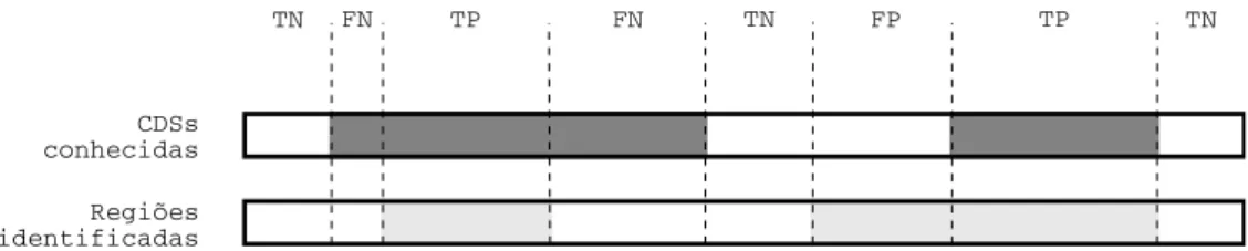 Figura 4.8: Os quatro poss´ıveis resultados de regi˜ oes identificadas contra CDSs conhecidas.