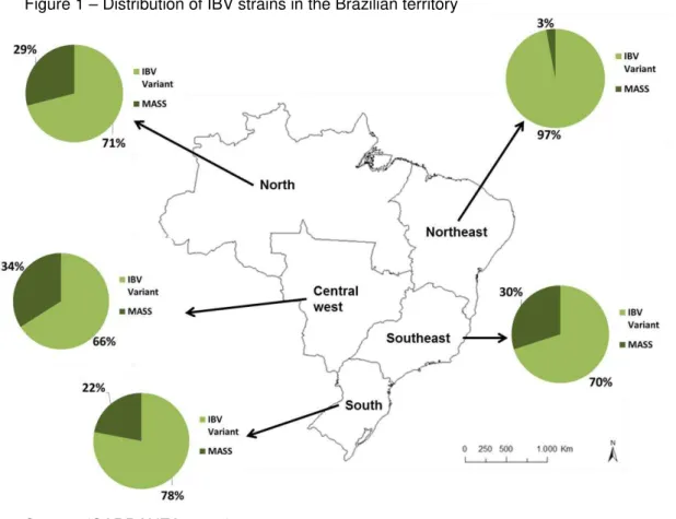 Figure 1  –  Distribution of IBV strains in the Brazilian territory 