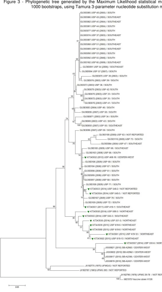 Figure  3  -  Phylogenetic  tree  generated  by  the  Maximum  Likelihood  statistical  method  with  1000 bootstraps, using Tamura 3-parameter nucleotide substitution model