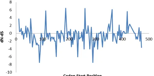 Figure 4  –  dN-dS plotted per each amino acid position for the first 144 codons evaluated of the  S1 gene of IBV 