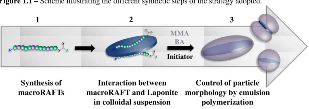 Figure 1.1 – Scheme illustrating the different synthetic steps of the strategy adopted