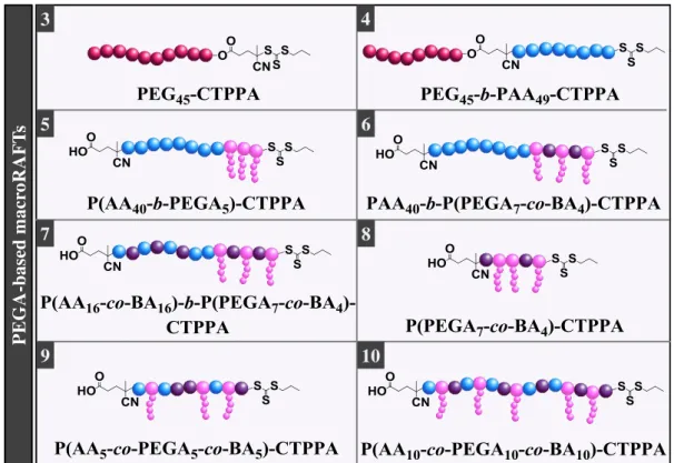 Figure 1.4 – Schematic representation of PEGA-based macroRAFT agents synthesized in this work: 
