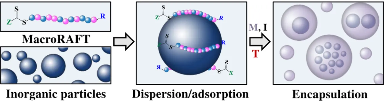 Figure  2.5  –   Schematic  representation  showing  the  dispersion  and  encapsulation  steps  of  the  macroRAFT-assisted encapsulating emulsion polymerization of inorganic particles