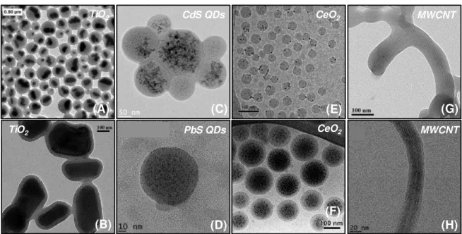 Figure  2.6  –   TEM  and  Cryo-TEM  images  of  encapsulated  inorganic  nanoparticles  by  RAFT- RAFT-encapsulating emulsion polymerization
