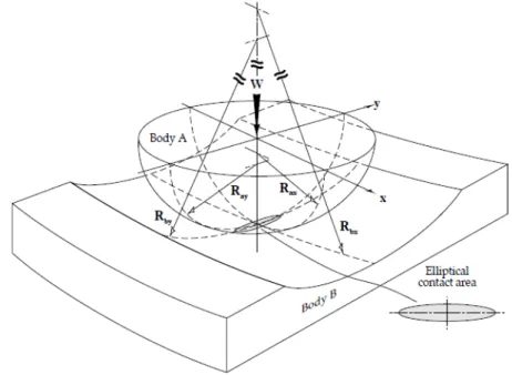 Figura  2.3  –  Geometria  de  dois  corpos,  convexa  e  a  outra  côncava  em  contato  (STACHOWIAK  e  BATCHELOR, 2005)