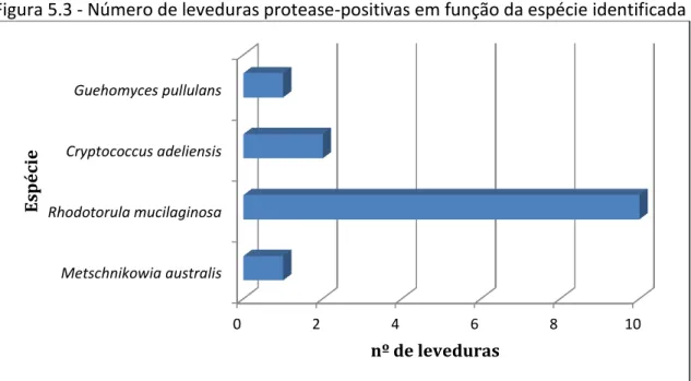 Figura 5.3 - Número de leveduras protease-positivas em função da espécie identificada 