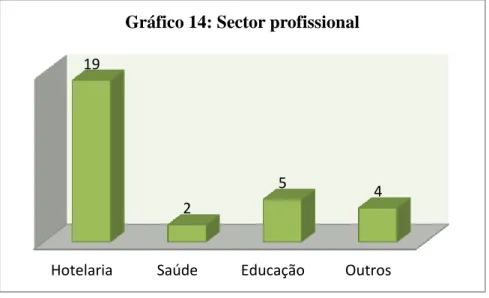 Gráfico 14: Sector profissional  