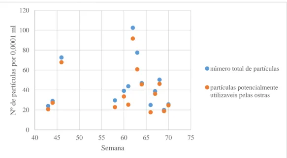 Figura  3.3.4.1  Número  total  de  partículas  e  partículas  potencialmente  utilizáveis  pelas  ostras  (número de partículas sem os detritos e partículas menores que 5µm, t-(d+p)), nas amostras da  ria