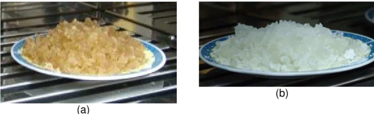 Figura  4.2:  sílica  gel  obtida  a  partir  de  carvão  de  casca  de  arroz;  (a)  sem  e  (b)  com  tratamento do silicato