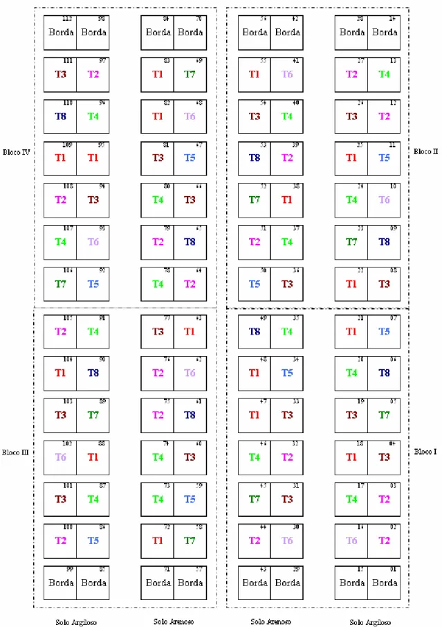 Figura 3 - Croqui da área experimental: coberturas do solo, com plástico (CP) e sem plástico (SP); freqüências   de fertirrigação (24, 12, 3 e 1), no intervalo de três dias, sendo denominados: T 1 - CP e 24; T 2 - CP e 12;  