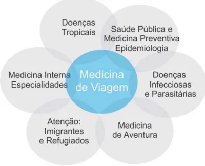 Figura 1 - Diagrama da interface da medicina de viagem com outras especialidades médicas 