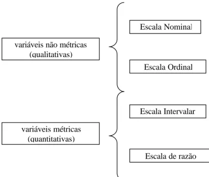 Figura 5 – Tipos de Variáveis e Escalas de Mensuração 