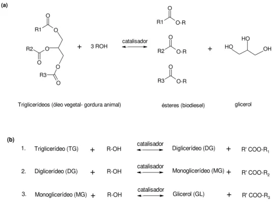 Figura 2 - (a) Reação global e (b) Reações consecutivas de transesterificação de  triglicerídeos