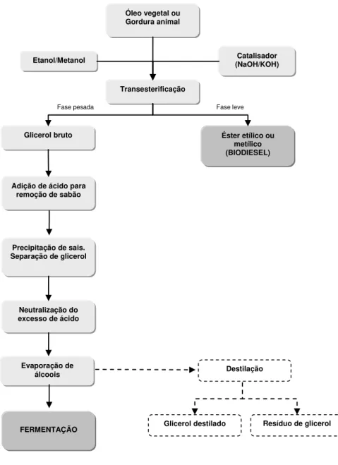 Figura 3 - Fluxograma de produção de biodiesel e tratamento de purificação do glicerol