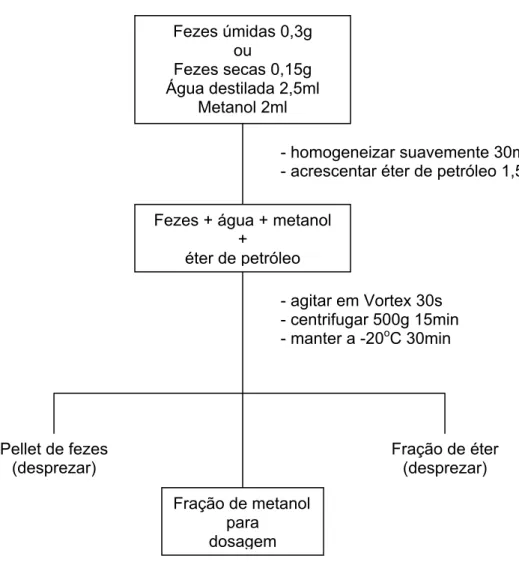 Figura 3 –  Fluxograma do protocolo 3 (SCHWARZENBERGER et al., 1991)  para extração de esteróides fecais 