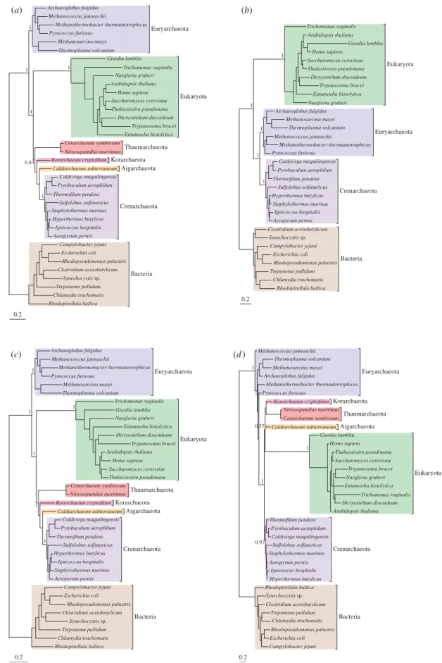 Figure 1. Phylogenies of Bacteria, Archaea and eukaryotes inferred from concatenated rRNA