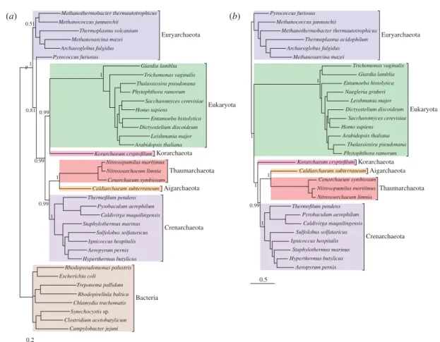 Figure 2. Phylogenies of Bacteria, Archaea and eukaryotes inferred from conserved protein-coding genes