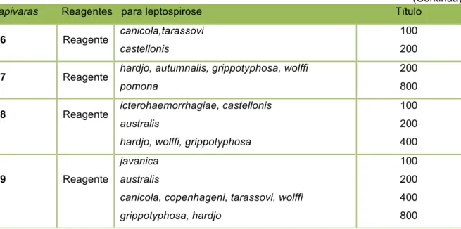 Tabela  10  –  Porcentagem  das  amostras  reativas  com  titulo  igual  ou  superior  à  100  para  Leptospira  em capivaras (Hydrochoerus hydrochaeris) de vida livre do PEAL – São Paulo – 2011