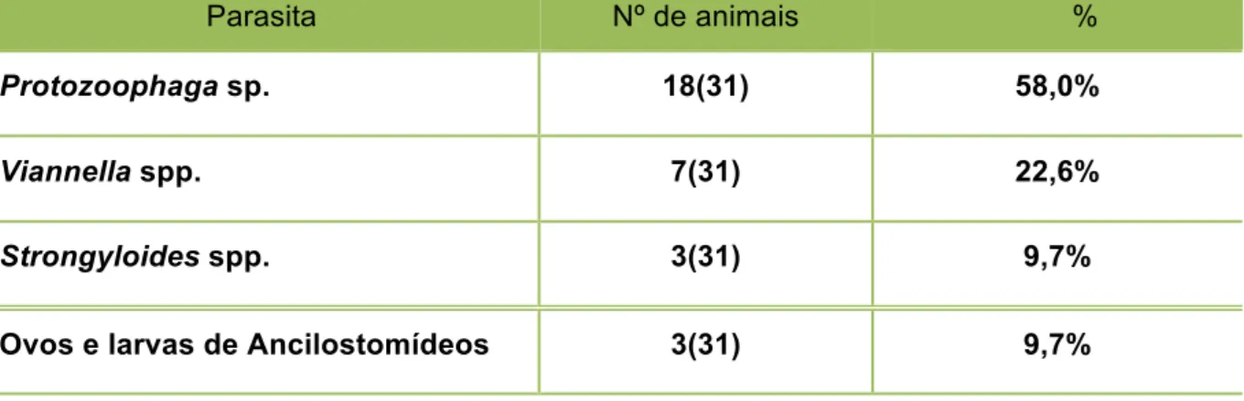 Tabela  13  –  Resultados  dos  exames  parasitológicos,  obtidos  a  partir  de  fezes  de  capivaras  (Hydrochoerus hydrochaeris) – São Paulo – 2011