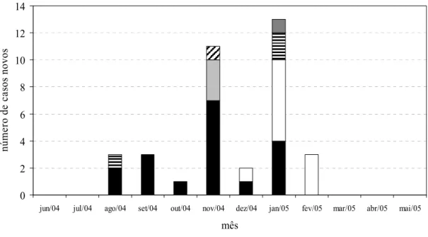 Gráfico 2: Padrões de PFGE dos isolados de K. pneumoniae ESBL nos casos de  infecção ou colonização durante surto na unidade neonatal de risco intermediário