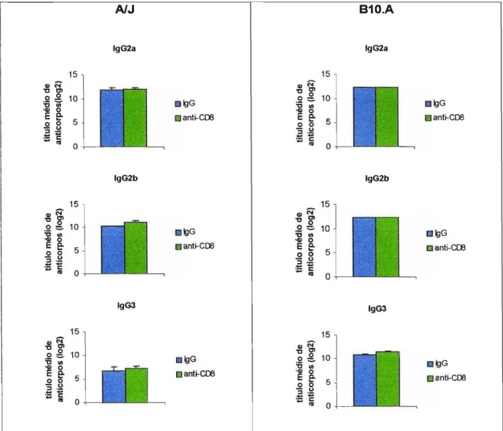 Figura  6.2.  Níveis  de  anticorpo  sé ricos  anti-P.  brasiliensis  (Ig  Total,  IgA,  IgM,  IgG1,  IgG2a,  IgG2b e IgG3) em camundongos AlJ e 810.A  machos,  infectados  i.t com leveduras de P