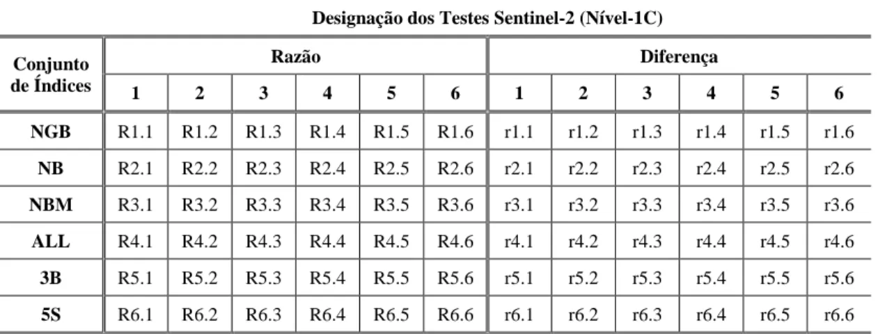 Tabela 9: Nomenclatura dos testes de rede neuronal com base em imagens Sentinel-2. 