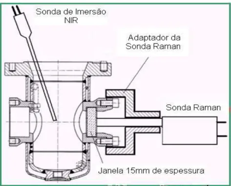 Figura  4.  3  –  Representação  esquemática  das  sondas  de  monitoramento  NIR  e  Raman no reator tanque de mistura