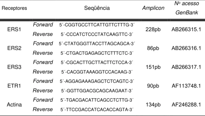 Tabela  2  –   Seqüências  dos  primers  forward  e  reverse  desenhados  para  a  amplificação dos receptores de etileno e actina para a análise de qPCR