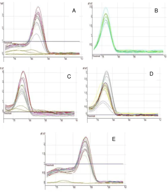 Figura 7  –  Exemplos de curvas de dissociação dos receptores de etileno ERS1 (A), ERS2 (B),  ERS3 (C), ETR1 (D) e da actina (E) 