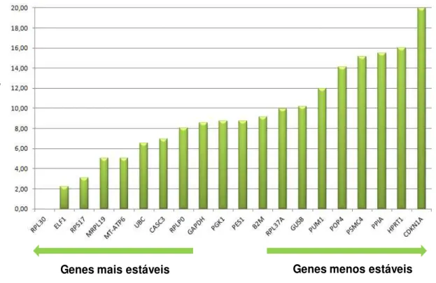 Figura  6.  Gráfico  representativo  da  determinação  do  gene  referência.  O  gene  RPL30  demonstrou a menor variação de expressão entre os tecidos analisados