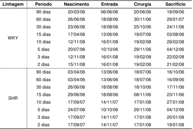Tabela 5.1 – Cronograma do experimento na etapa cirúrgica 