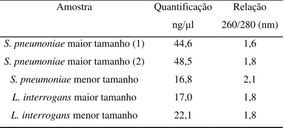 Tabela 2 - Quantificação do DNA fragmentado em  ng/μl  e suas respectivas relações de          pureza 