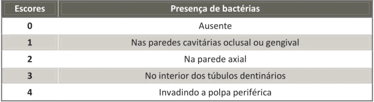 Tabela 3 – Escores e parâmetros para avaliação da presença de bactérias 