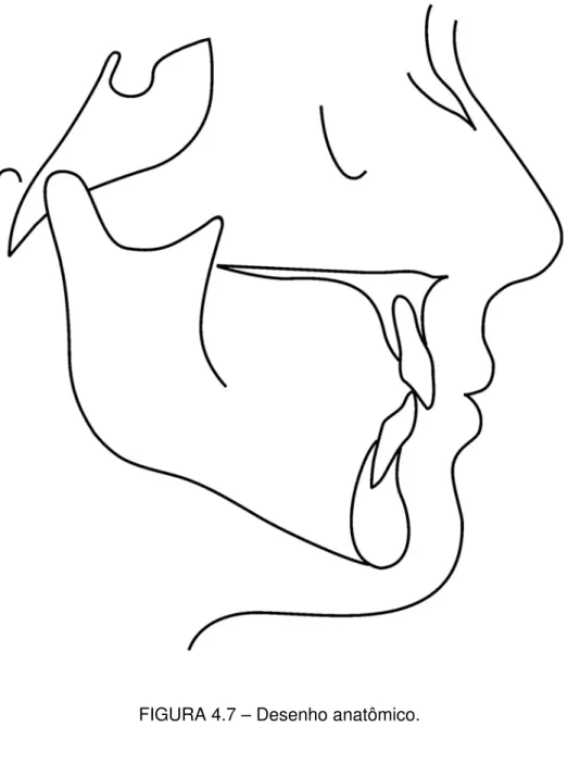 FIGURA 4.7 – Desenho anatômico. 