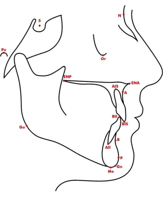 FIGURA 4.8 – Pontos cefalométricos utilizados. 