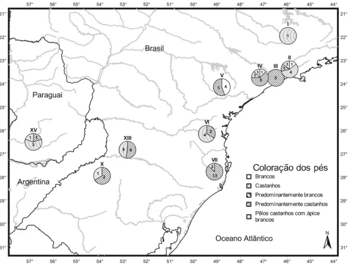 Figura 14 – Coloração da porção dorsal dos pés em 10 amostras (algarismos romanos) de Sooretamys angouya