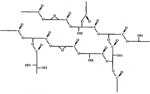 Figura 1.1. Representação esquemática da estrutura molecular de um polímero de cutina  (adaptada de Holloway, 1994)