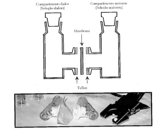 Figura 2.4. Representação esquemática e imagem fotográfica da célula de permeação  utilizada para medições de fluxo transmembranar