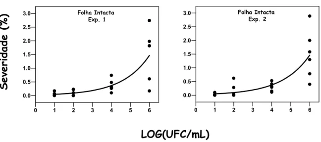 Figura 6  -  Severidade  do  Cancro  Cítrico  em  folhas  intactas  de  Limão  Tahiti  inoculadas a 10 1 , 10 2 , 10 4  e 10 6  UFC/mL