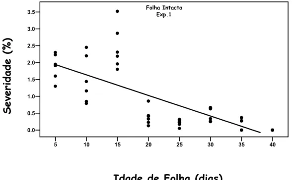 Figura 10 - Severidade do Cancro Cítrico em relação à idade de folha intacta de  Limão Tahiti