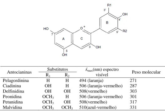 Figura 3 – Estrutura das antocianinas comummente encontradas nos frutos vermelhos (adaptado: 